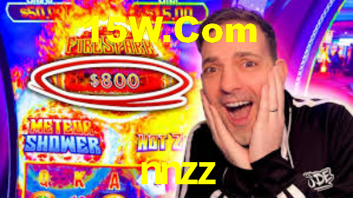 nnzz.com